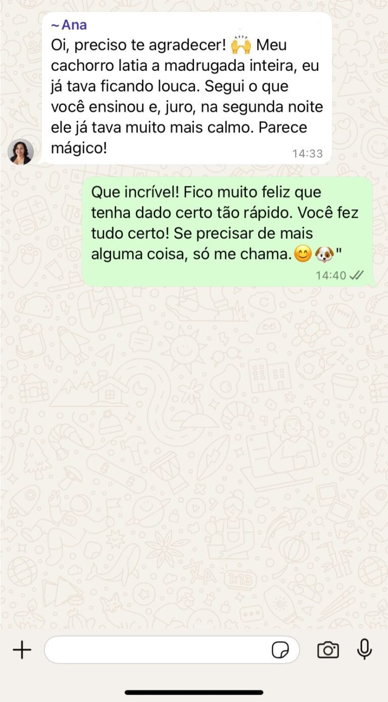 WhatsApp-Image-2025-02-20-at-14.54.02.jpeg